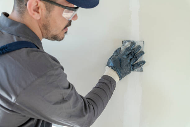 Best Eco-Friendly and Low-VOC Painting  in Inverness, CA