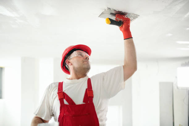 Best Drywall Installation  in Inverness, CA